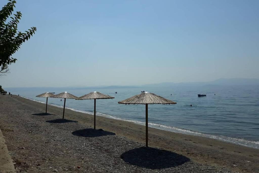 Σπίτι στο βουνό αλλά μια ανάσα από τη θάλασσα Βίλα Paleochori Εξωτερικό φωτογραφία