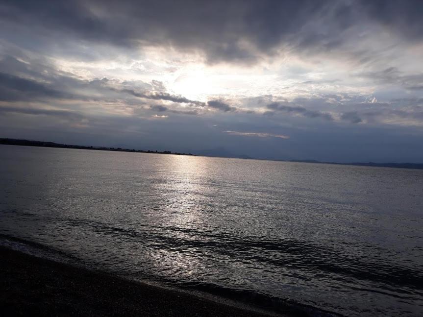 Σπίτι στο βουνό αλλά μια ανάσα από τη θάλασσα Βίλα Paleochori Εξωτερικό φωτογραφία