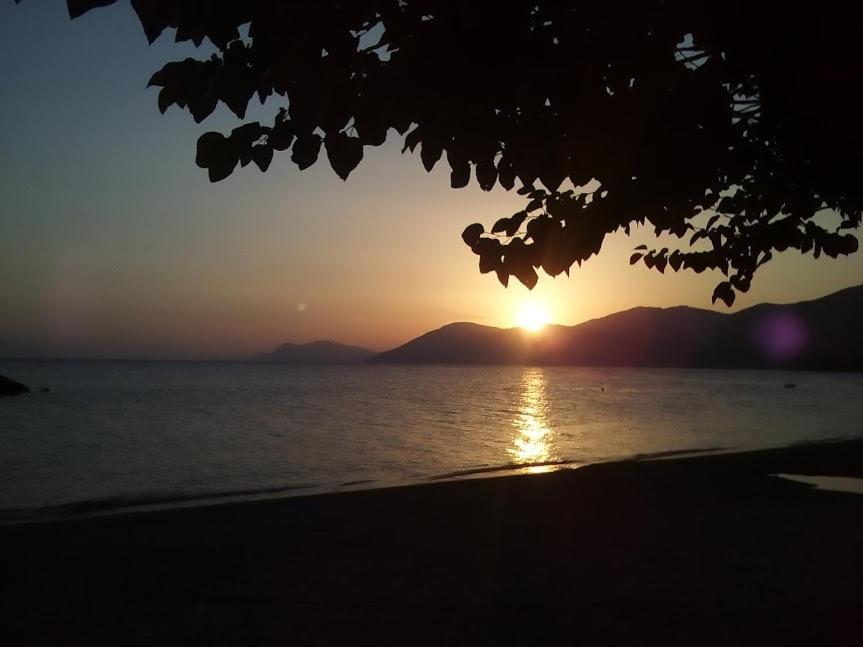 Σπίτι στο βουνό αλλά μια ανάσα από τη θάλασσα Βίλα Paleochori Εξωτερικό φωτογραφία