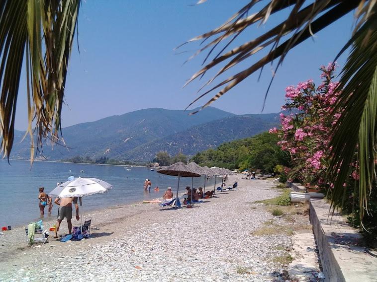 Σπίτι στο βουνό αλλά μια ανάσα από τη θάλασσα Βίλα Paleochori Εξωτερικό φωτογραφία