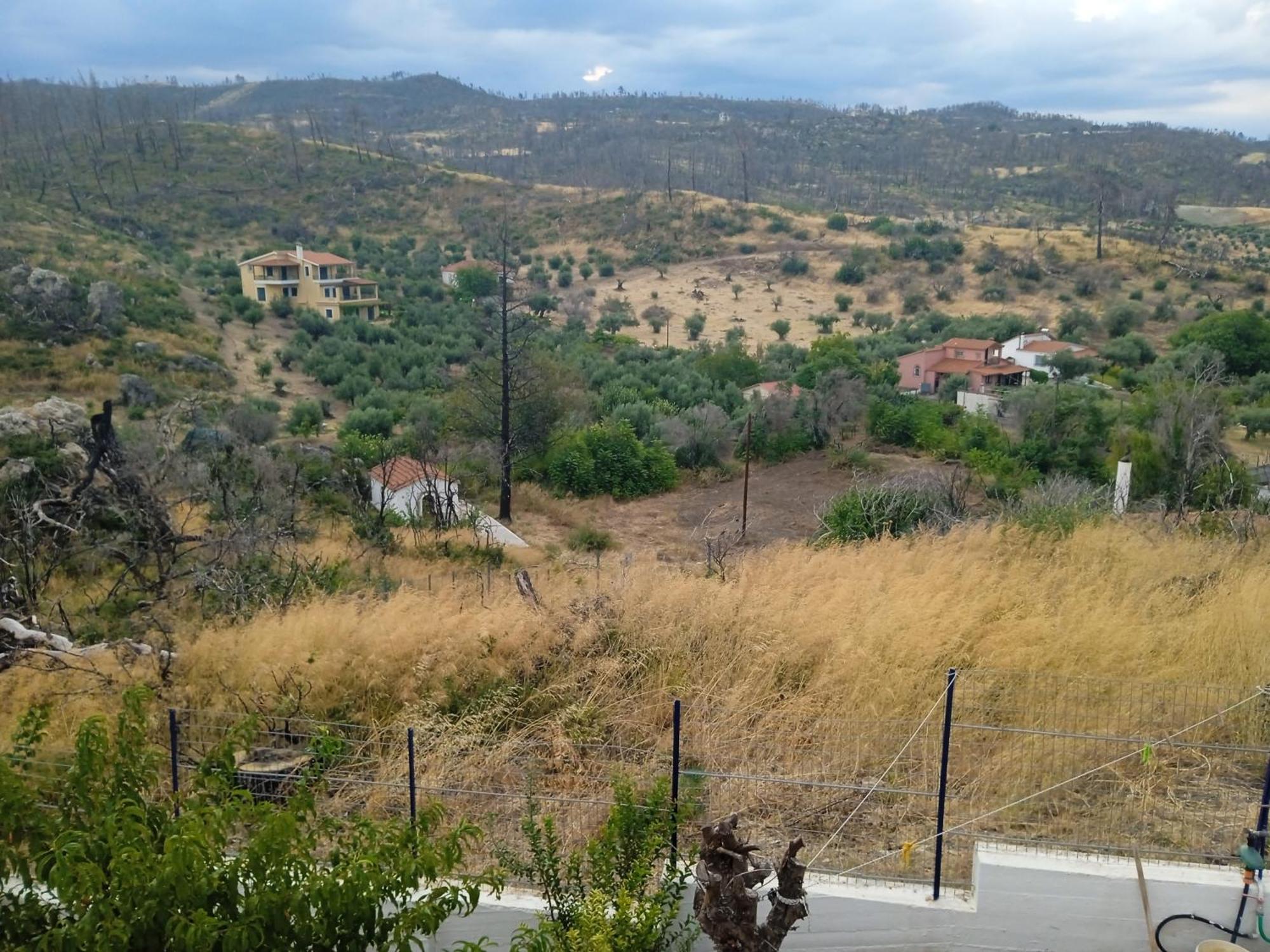 Σπίτι στο βουνό αλλά μια ανάσα από τη θάλασσα Βίλα Paleochori Εξωτερικό φωτογραφία